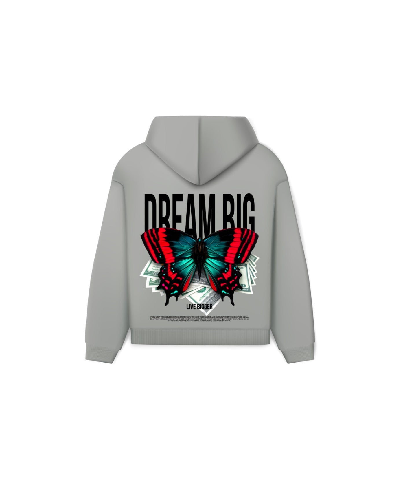 DREAM BIG HOODIE