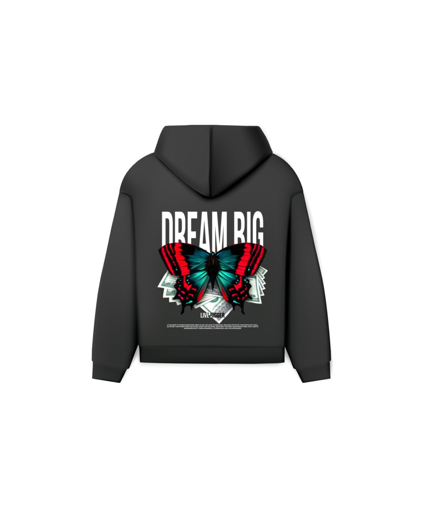 DREAM BIG HOODIE
