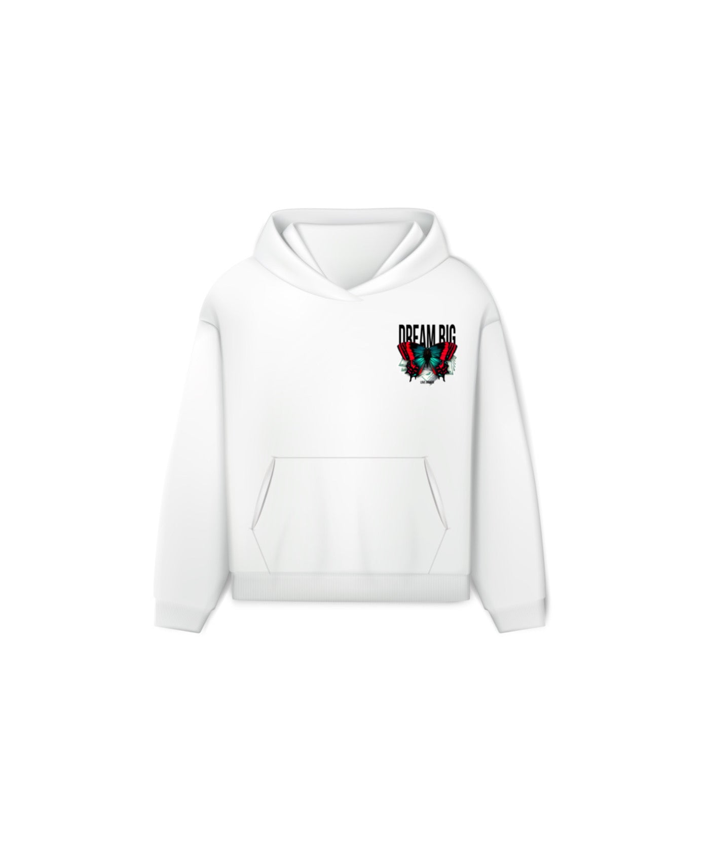 DREAM BIG HOODIE