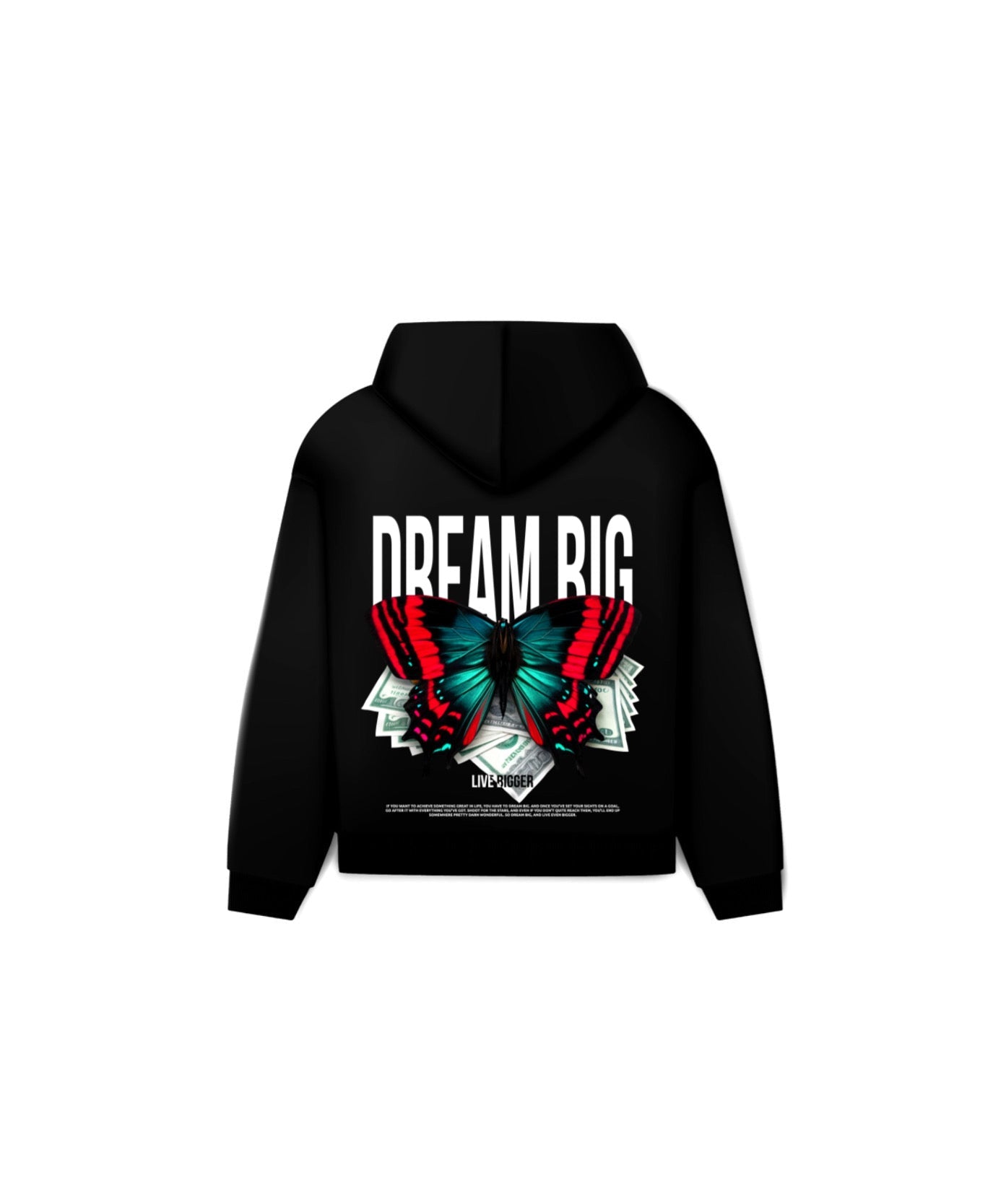 DREAM BIG HOODIE