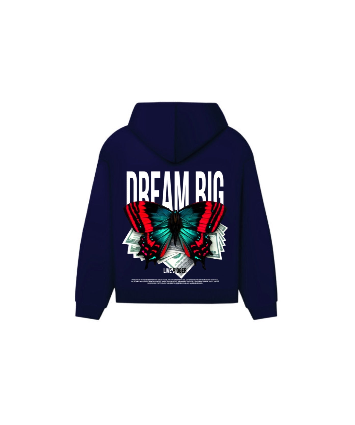 DREAM BIG HOODIE